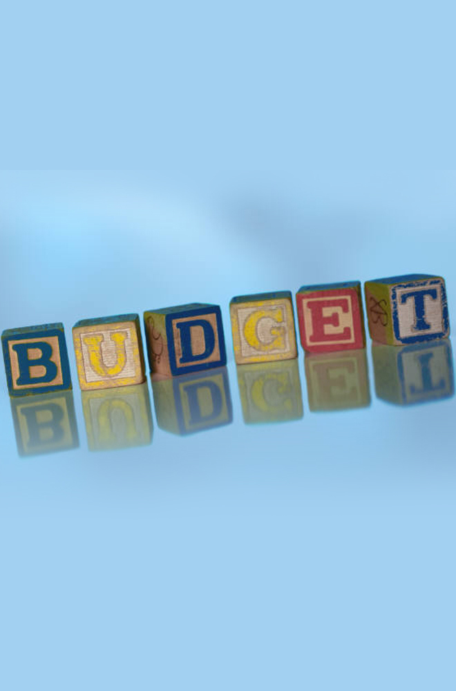 Budget Monitoring and Control - online assessment Budget Monitoring and Control - online assessment